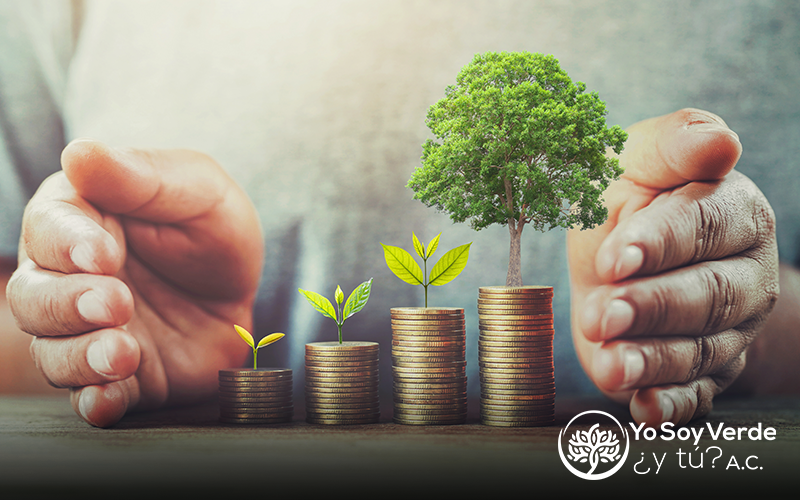 Promoviendo Inversiones Verdes
