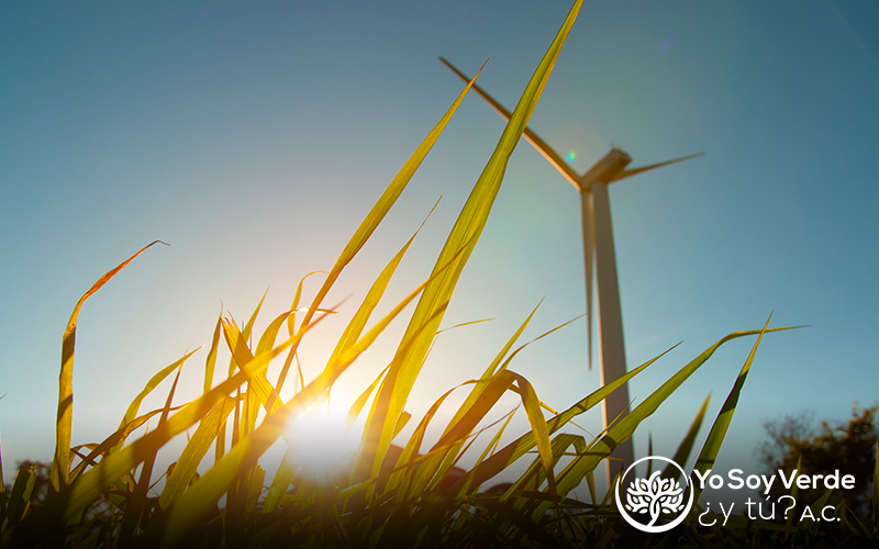 Promoviendo Inversiones Verdes