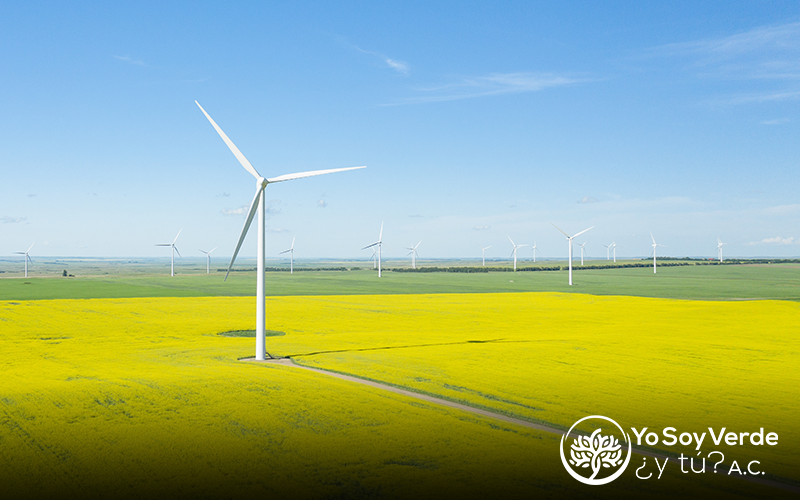 Promoviendo Inversiones Verdes